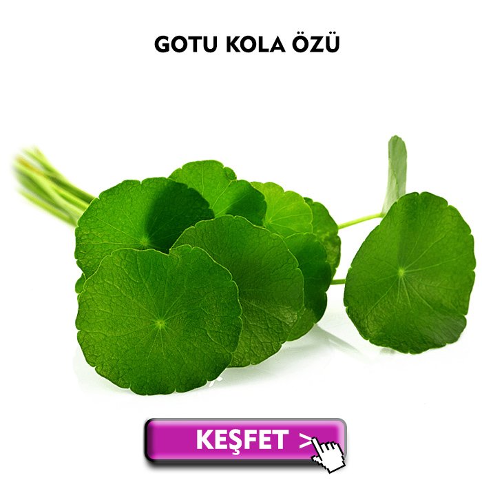 Gotu Kola (Cica) Özü