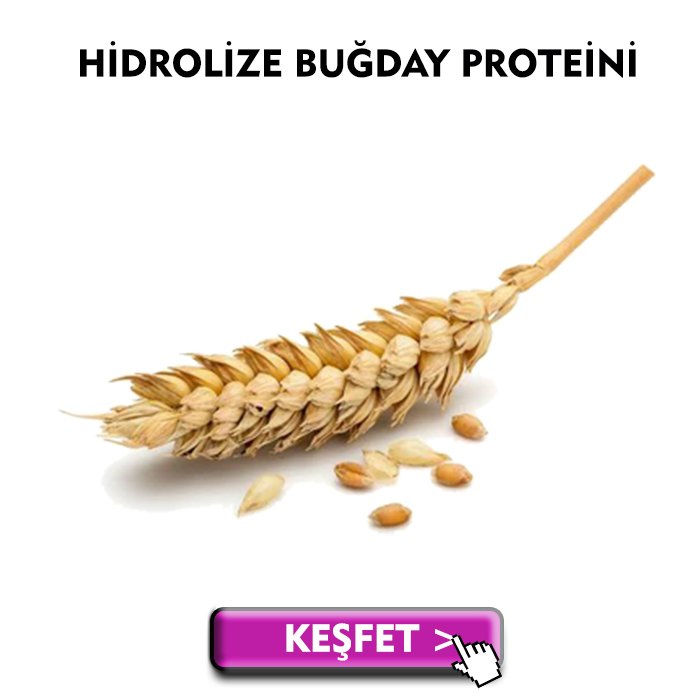 Hidrolize buğday proteini
